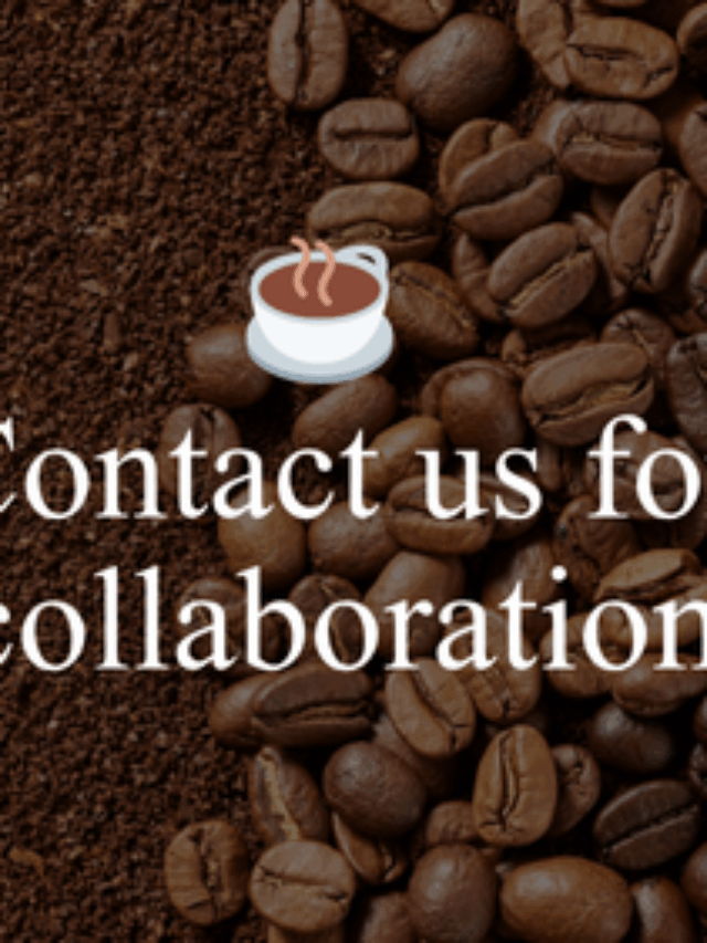 Contact Us for Colllabration